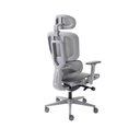 Ver imagem 2 de Cadeira De Escritório Ergonômica Elements Sophy Grafite Mesh