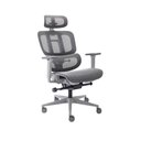 Ver imagem 3 de Cadeira De Escritório Ergonômica Elements Sophy Grafite Mesh