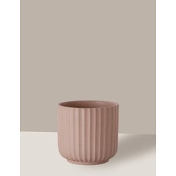 Vaso Cachepô de Cerâmica para Plantas Camurça PE - 3