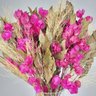Arranjo Desidratado Clássico Bougainvillea Rosa Escuro + Vaso plantô - 2