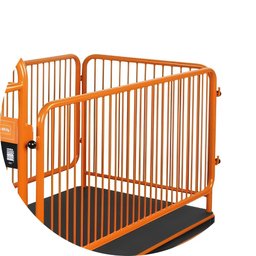 Carrinho Tipo Plataforma 400kg Motorizado a Bateria 24v Brutus C48m Beta - 6