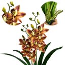 Ver imagem 3 de Kit 7 Orquídeas Artificiais Laranja Toque Real Silicone Decoração Festa Casa Escritório
