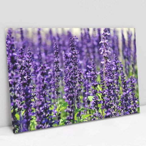 Quadro Decorativo em Canvas Floral Lavanda - Moldura Madeira - 120 x 80cm