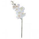 Ver imagem 1 de Haste Flor Orquidea Phalaenopsis Real Toque C-coat X7 Branco 63cm