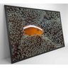 Quadro Peixe Palhaço em Anêmona no Mar Decor&Quadros NAT147 - 5