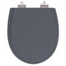Assento Sanitário Poliester Soft Close Polo Cinza Plus para Vaso Hervy - 1