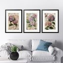 Ver imagem 1 de Kit 3 Quadros Grandes Hortências - 60x48cm:moldura Preta