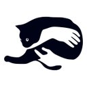 Ver imagem 1 de Quadro Decorativo Aplique Parede Gato Preto Felino Mdf 3mm