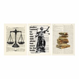 Kit 3 Quadro Decorativo Advocacia Escritório Justiça Placa 28x20cm - 3