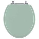 Ver imagem 1 de Assento Sanitário Laqueado Evolution Verde Claro para Bacia Santamarina