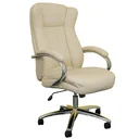 Ver imagem 1 de Cadeira Presidente Estofada Boss Bege B.hoff Mobile