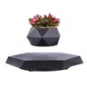 Vaso Flutuante Suspenso Magnetico de Planta Gravidade Zero Flutuante Levitaçao Base Hexagonal Bonsai - 11