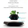 Vaso Flutuante Suspenso Magnetico de Planta Gravidade Zero Flutuante Levitaçao Base Hexagonal Bonsai - 5