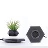 Vaso Flutuante Suspenso Magnetico de Planta Gravidade Zero Flutuante Levitaçao Base Hexagonal Bonsai - 14