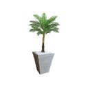 Ver imagem 1 de Planta Artificial Árvore Palmeira Real Toque 1,2m kit + Vaso Trapezio D. Grafiato Cinza 40cm