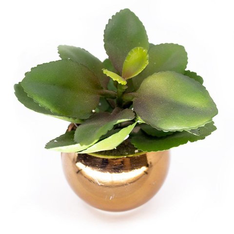 Vaso Decorativo Dourado com Suculenta Artificial Folha Baixa 15x8 Cm F04 - D'Rossi