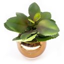Ver imagem 1 de Vaso Decorativo Dourado com Suculenta Artificial Folha Baixa 15x8 Cm F04 - D'Rossi