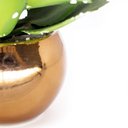 Ver imagem 3 de Vaso Decorativo Dourado com Suculenta Artificial Folha Baixa 15x8 Cm F04 - D'Rossi