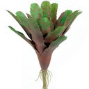 Ver imagem 4 de Kit 2 Pçs Bromélia Plantas Artificiais Verde 20 Folhas 34cm
