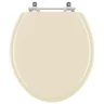 Assento Sanitário Convencional / Oval Marfim (Bege Claro) para vaso Hervy - 1
