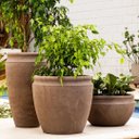 Ver imagem 2 de Vaso para Plantas Antique 55 Macchiato - Japi