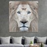 Quadro Decorativo - Leão Branco - Olhos Azuis -100x95cm - 4