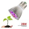 Luminária Rosa Clip + Lâmpada Led Full Spectrum + Higrômetro Led Grow Preto - 7