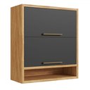 Ver imagem 1 de Armário Aéreo Cozinha 80 Cm Syrah 2 Portas 100% Mdf Amêndoa/chumbo - Rio Doce