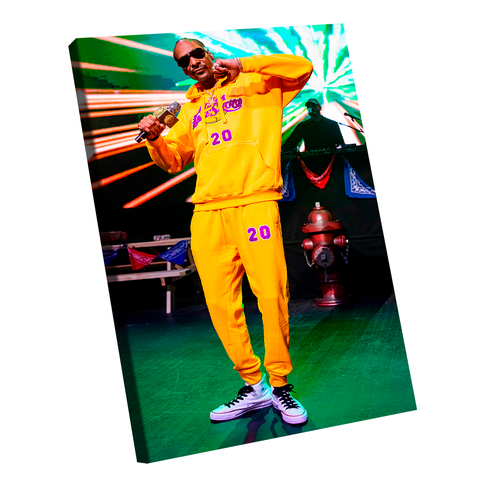 Quadro Snoop Dog -- BR ARTES
