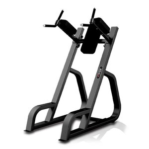 Abdominal Vertical Kikos Pro Station Ttfw60