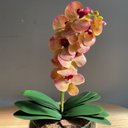 Ver imagem 2 de Arranjo Centro de Mesa Orquídea Tigre Artificial Vaso Grande Decore Fácil Shop