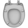Assento Sanitario Oval Resinado Evolution Cinza Prata Utfev77c Tupan - 3