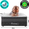 Cama Box Pet Para Cachorros E Gatos com Lençol Impermeável - Caminha Pet - BF Colchões - 2