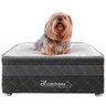 Cama Box Pet Para Cachorros E Gatos com Lençol Impermeável - Caminha Pet - BF Colchões - 1