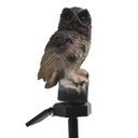 Ver imagem 7 de Coruja Luminaria Solar Kit 5 Uni Iluminaçao Decoraçao Casa Jardim Ave Escultura Quintal