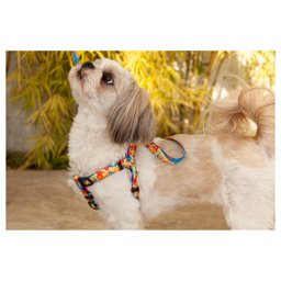 Coleira Cachorros com Guia Praia M Style - 5