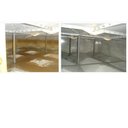 Ver imagem 5 de Biocaixa Removedor de Incrustações Das Paredes de Caixa D'água, Cisternas, Reservatórios, Tubulações