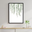 Ver imagem 1 de Quadro Samambaia - Plantas 45x34cm - com vidro:Madeira preta