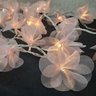 Fio de Luz Luz de Fada Cordão Led Pompom Organza Rosa Bivolt - 3