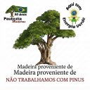 Ver imagem 4 de 5m Perfil/Sarrafo de Madeira p/Artesanato 2x1,5cm 304 c/1m