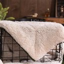 Ver imagem 3 de Cobertor Casal Comum Veludo Oliva/pele de Carneiro 240x240