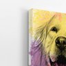 Quadro Golden Retriever Cachorro Aquarela Canvas 20x30cm - 3