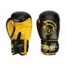 Luva de Boxe Muay Thai Pretorian Treinamento Tamanho 14 OZ - 2