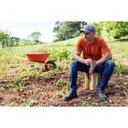 Ver imagem 3 de Carrinho Mão com Caçamba Funda Plástica Laranja 55 L Braço Madeira Pneu com Câma