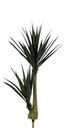 Ver imagem 1 de Arranjo Decorativo Yucca X41 Verde 1,3 m Flor Arte