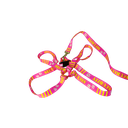 Ver imagem 1 de Conjunto Peitoral Ajustável RBPet com Guia - Cães de Grande Porte