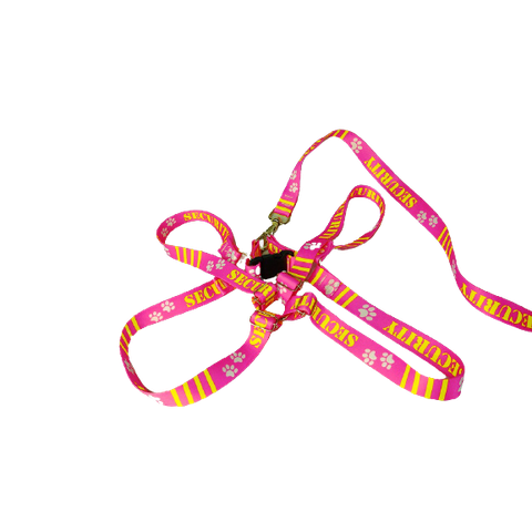 Conjunto Peitoral Ajustável RBPet com Guia - Cães de Grande Porte