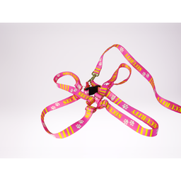 Conjunto Peitoral Ajustável RBPet com Guia - Cães de Grande Porte - 6