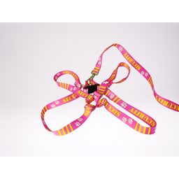 Conjunto Peitoral Ajustável RBPet com Guia - Cães de Grande Porte - 7