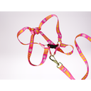 Ver imagem 4 de Conjunto Peitoral Ajustável RBPet com Guia - Cães de Grande Porte